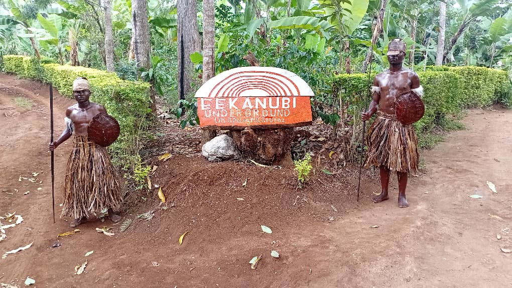Eekanubi experience 11
